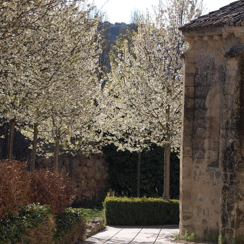 El Monasterio Escondido Tortoles de Esgueva Exterior foto